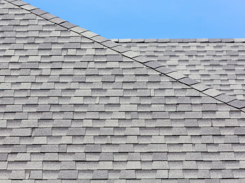close up roofing shingles on repair eustis fl